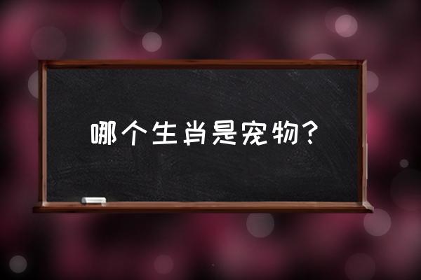 宠物之家是什么生肖 哪个生肖是宠物？