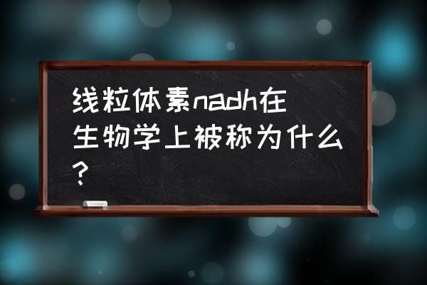 线粒体素的主要功能 线粒体素nadh在生物学上被称为什么？