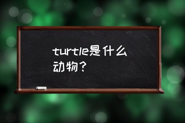 turtle什么意思 turtle是什么动物？