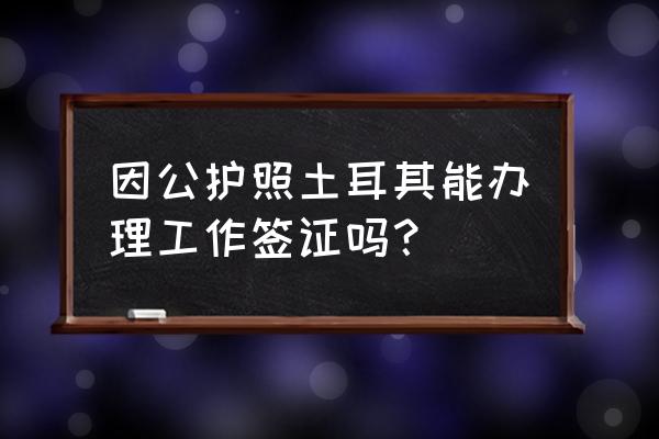 土耳其长期签证 因公护照土耳其能办理工作签证吗？