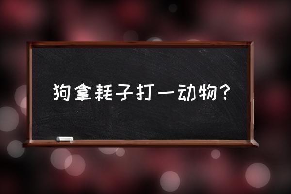 狗拿耗子打一动物 狗拿耗子打一动物？