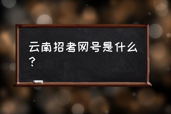 云南招生考试频道 云南招考网号是什么？