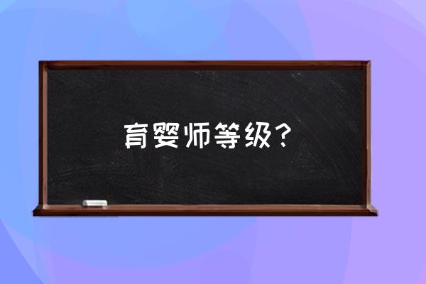 高级育婴员和高级育婴师 育婴师等级？