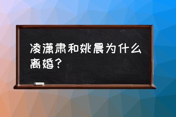 凌潇肃和姚晨是怎么回事 凌潇肃和姚晨为什么离婚？