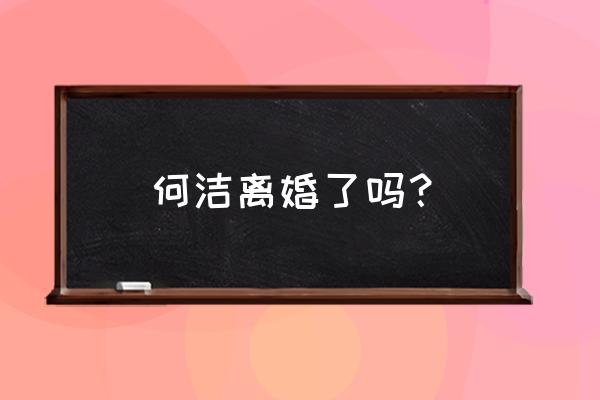 何洁到底离了几次婚 何洁离婚了吗？