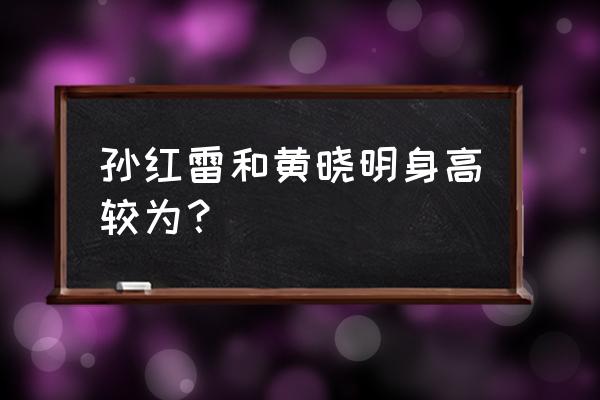 罗志祥孙红雷身高对比 孙红雷和黄晓明身高较为？