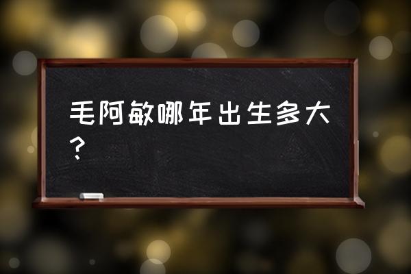 毛阿敏多大年龄 毛阿敏哪年出生多大？