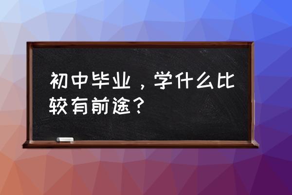 初中毕业学什么有前途 初中毕业，学什么比较有前途？