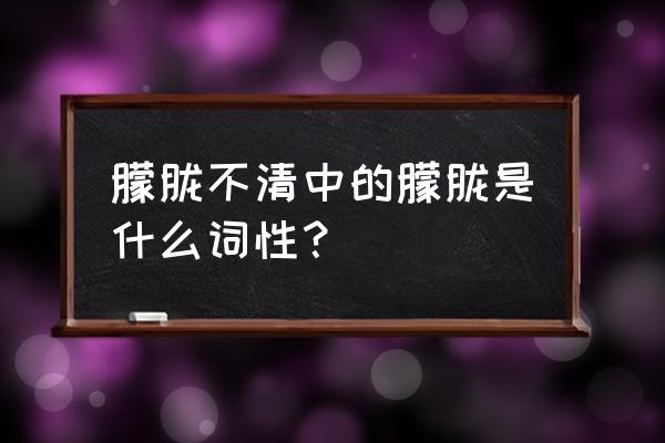 朦胧形容什么 朦胧不清中的朦胧是什么词性？