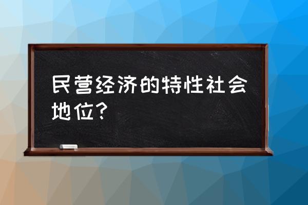 国有民营经济 民营经济的特性社会地位？