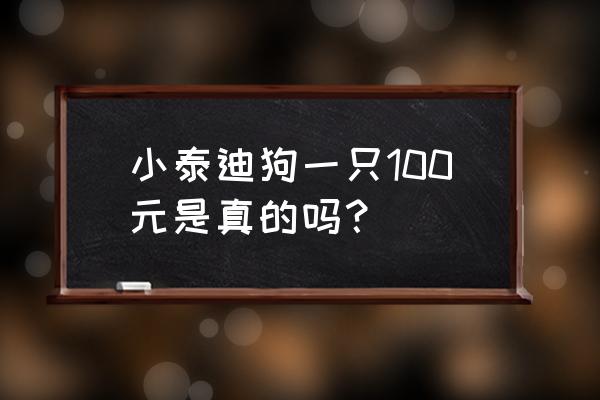 小泰迪狗一只100元 小泰迪狗一只100元是真的吗？