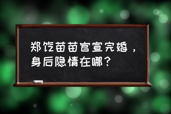 最近哪个明星结婚了 郑恺苗苗官宣完婚，身后隐情在哪？