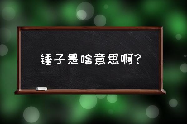 锤子是啥意思啊 锤子是啥意思啊？