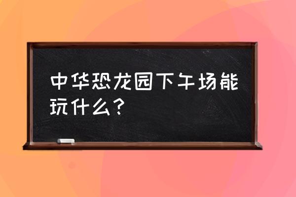 迪诺水镇观光塔 中华恐龙园下午场能玩什么？