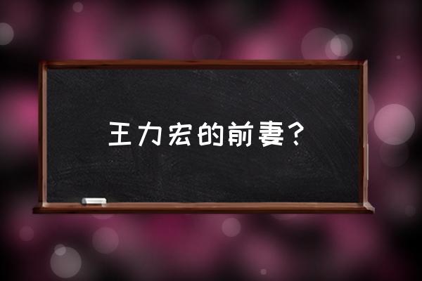 王力宏的前任女友 王力宏的前妻？