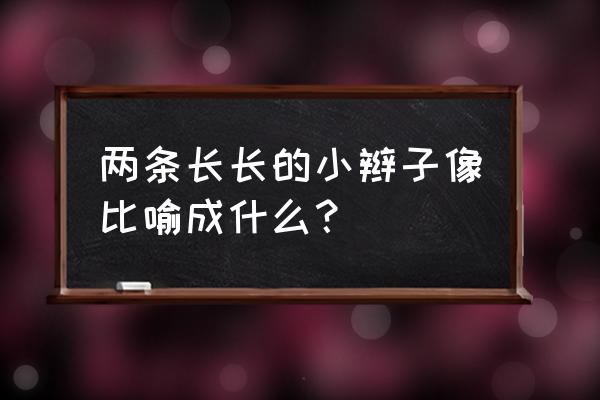 长长的头发黑黑的辫子 两条长长的小辫子像比喻成什么？