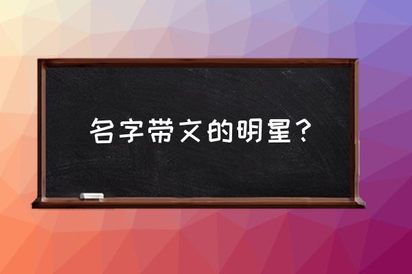 像文章的歌手 名字带文的明星？