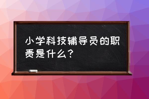 小学辅导员工作总结 小学科技辅导员的职责是什么？