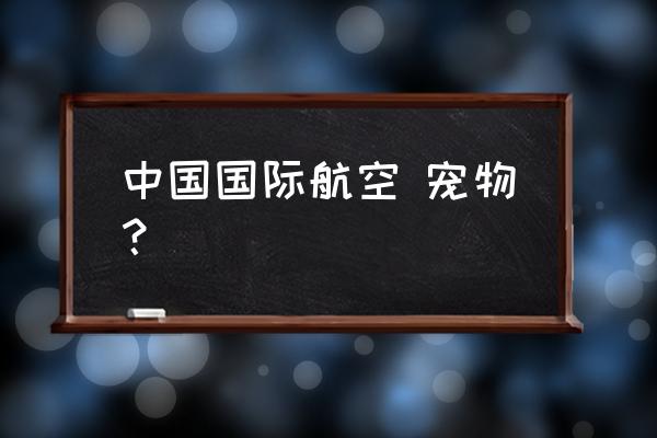 国际飞机宠物托运 中国国际航空 宠物？