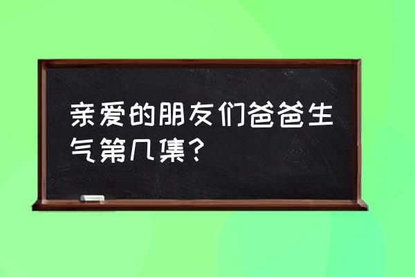 我亲爱的朋友们人物关系 亲爱的朋友们爸爸生气第几集？