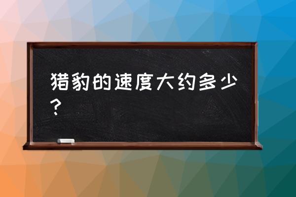 猎豹速度是多少公里 猎豹的速度大约多少？