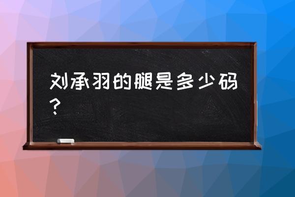 卧虎藏龙青冥宝剑演员 刘承羽的腿是多少码？