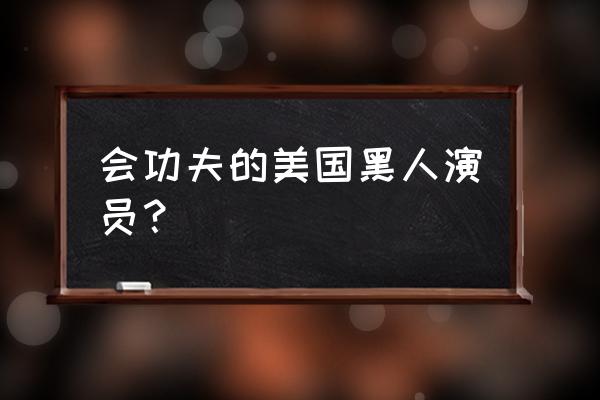 史蒂芬西格尔民族 会功夫的美国黑人演员？