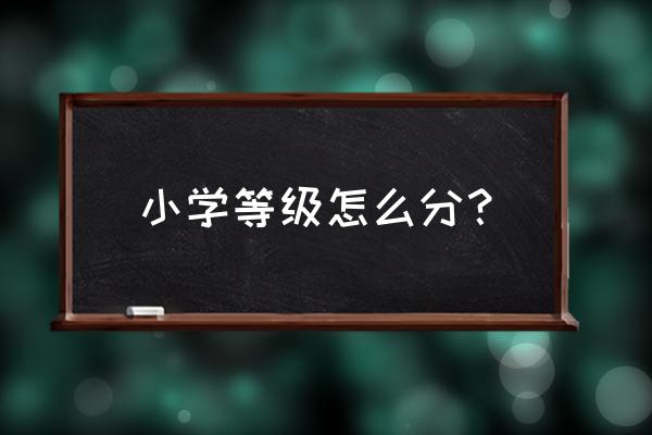 柯岩中心小学等级 小学等级怎么分？