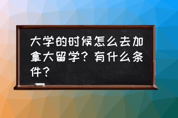 加拿大留学需要什么条件 大学的时候怎么去加拿大留学？有什么条件？