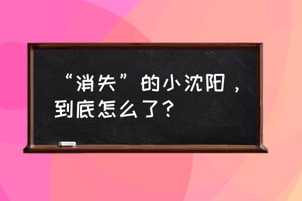 小沈阳 如果你在就好了 “消失”的小沈阳，到底怎么了？