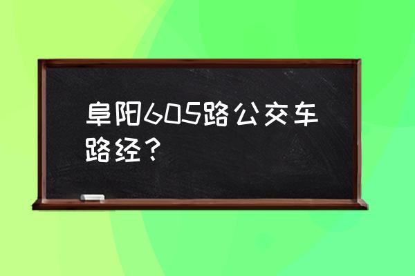 605公交车路线查询 阜阳605路公交车路经？