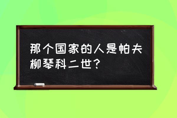 帕夫柳琴科二世是什么意思 那个国家的人是帕夫柳琴科二世？