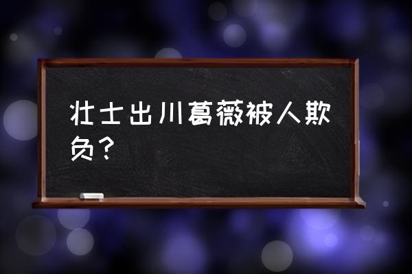 壮士出川葛薇爽了一把 壮士出川葛薇被人欺负？