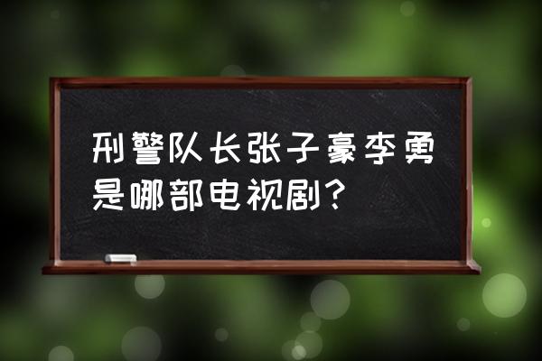 惊天大贼王天狼 刑警队长张子豪李勇是哪部电视剧？