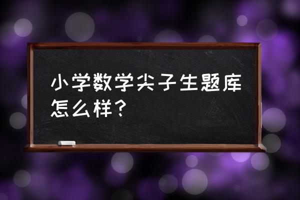 小学数学题库 小学数学尖子生题库怎么样？