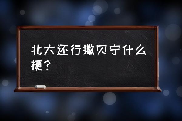 撒贝宁北大还行完整版 北大还行撒贝宁什么梗？