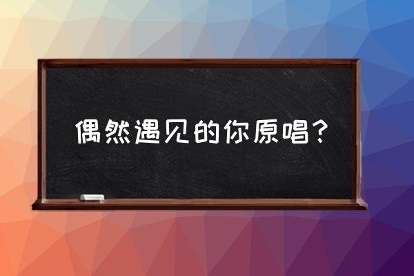 玉氏南世基 偶然遇见的你原唱？