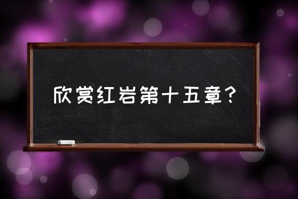 倾巢出动逐字解释 欣赏红岩第十五章？