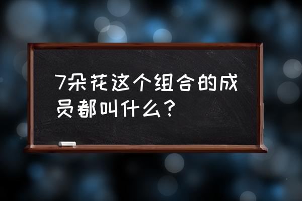 toro郭苇昀现状 7朵花这个组合的成员都叫什么？