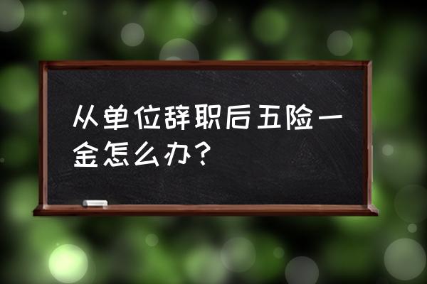 国企辞职后五险一金怎么办 从单位辞职后五险一金怎么办？