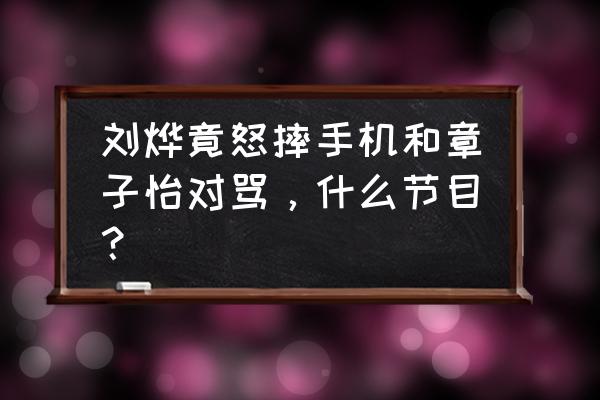 刘烨章子怡演员的诞生 刘烨竟怒摔手机和章子怡对骂，什么节目？