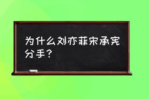 宋承宪为追刘亦菲很拼 为什么刘亦菲宋承宪分手？