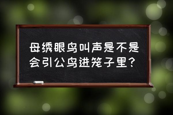 绣眼鸟叫声母鸟叫声 母绣眼鸟叫声是不是会引公鸟进笼子里？