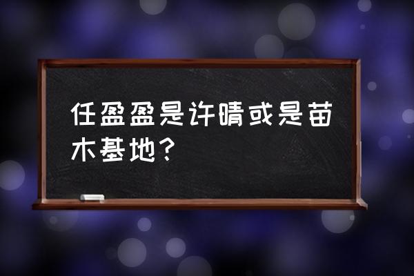 笑傲江湖任盈盈的扮演者 任盈盈是许晴或是苗木基地？