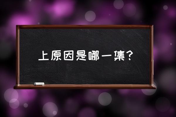 大和敢助和由衣出场集数 上原因是哪一集？