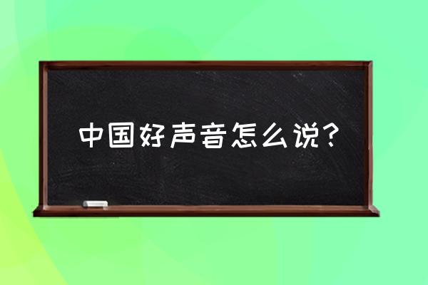 中国声音演讲 中国好声音怎么说？