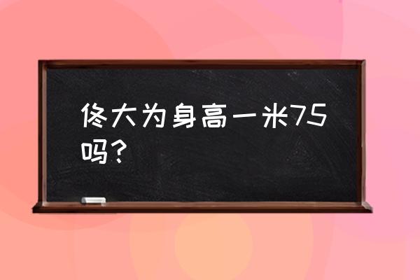 佟大为身高真实身高 佟大为身高一米75吗？