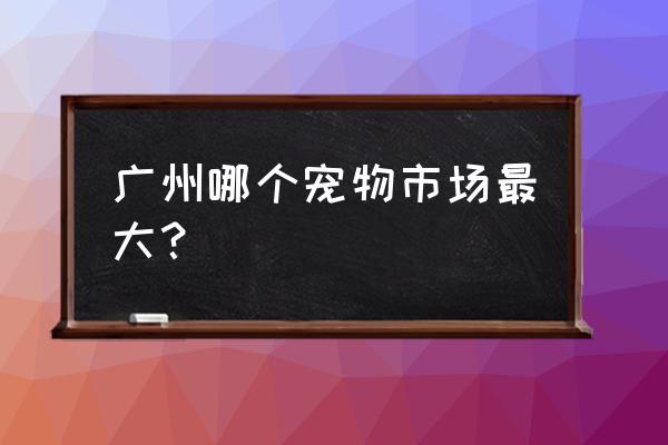 广州最有名花鸟市场 广州哪个宠物市场最大？