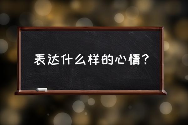 你的样子表达什么感情 表达什么样的心情？