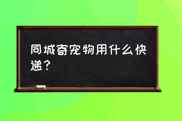 同城宠物怎么运输 同城寄宠物用什么快递？